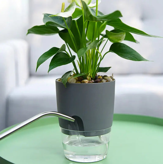 Self-Watering Plantenbakje - Diverse Varianten