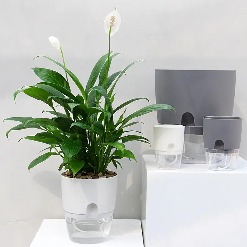 Self-Watering Plantenbakje - Diverse Varianten