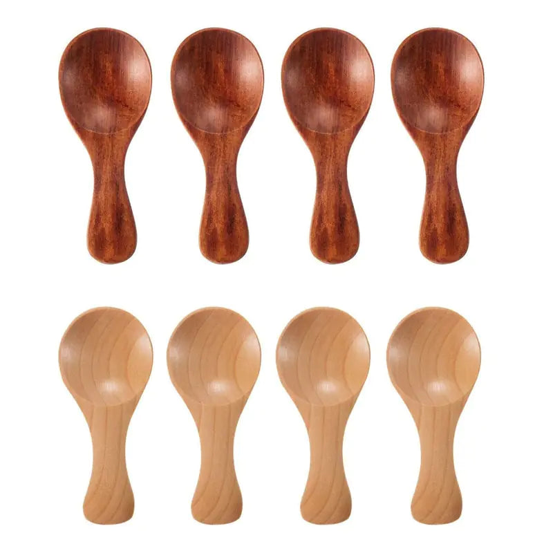 Mini Houten Lepels 4 Stuks - Diverse Kleuren