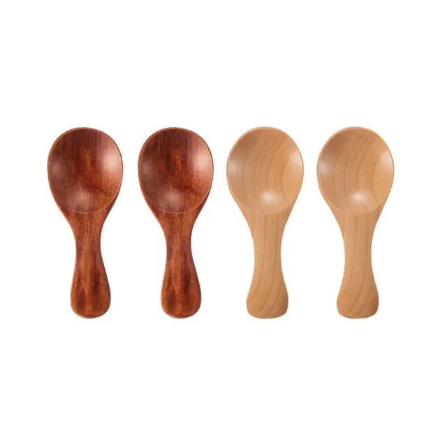 Mini Houten Lepels 4 Stuks - Diverse Kleuren