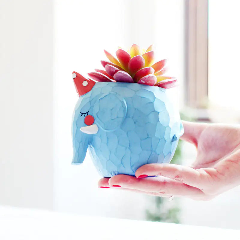 Kleine Design Bloempotten Decoratie - Diverse Varianten